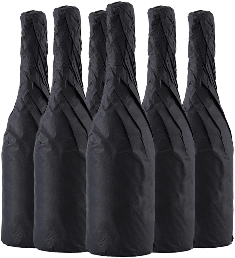 Winemaker's Series Shiraz 2022